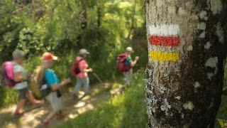 Discovering Frances most beautiful hiking paths • FRANCE 24 English