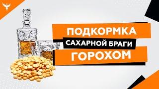 Подкормка сахарной браги горохом