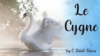 Cello Instrumental - Le Cynge The Swan by C. Saint-Saens - The Lone Piper