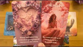 BRACE YOURSELF  HOW YOUR PERSON REALLY FEELS ABOUT YOU COLLECTIVE LOVE READING   #tarotreading
