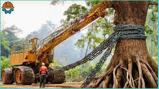 99 Amazing Fastest Big Tree Removal Bulldozers Working At Another Level