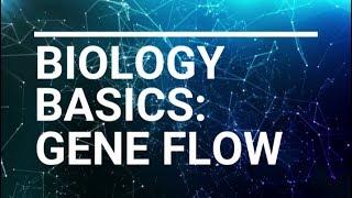 Biology Basics Gene Flow Scientific