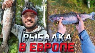 VLOG РЫБАЛКА В ЕВРОПЕ  ПОЙМАЛ КРУПНУЮ ФОРЕЛЬ