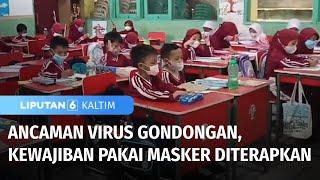 Kewajiban Pakai Masker Diterapkan Tuk Cegah Ancaman Virus Gondongan  Liputan 6 Kaltim