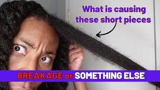 *REQUESTED* Is This BREAKAGE or GROWTH?  Long 4C Hair Haircare