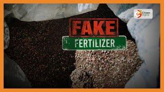 State of the Nation The fake fertiliser scandal  Day Break