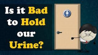 Is it Bad to Hold our Urine? + more videos  #aumsum #kids #science #education #children