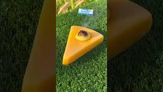 RHCB VS Cheese #asmr #asmrsounds #satisfying #satisfyingvideo #oddlysatisfying #cheese #rhcb