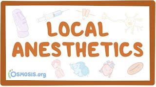 Local anesthetics pharmacology