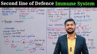 2nd line of defense  innate immunity  Second line of defense immune system class 11