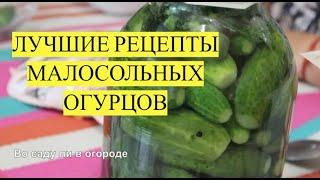 МАЛОСОЛЬНЫЕ ОГУРЦЫ. ЛУЧШИЕ РЕЦЕПТЫ. Так готовить огурцы должна уметь каждая хозяйка