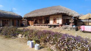 【4K】Andong Korea - Hahoe Folk Village Walk - Autumn Scenery