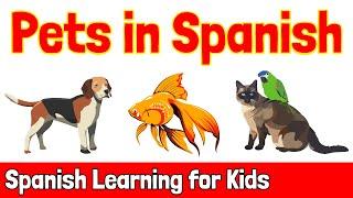 Pets in Spanish  Spanish Learning for Kids