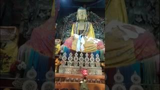Goom Monastery #shortsvideo #youtubeshorts #queenofhills