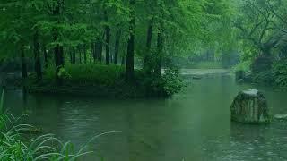 The beautiful little river is raining241  sleep relax meditate study work ASMR