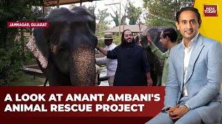 LIVE Anant Ambanis Animal Rescue Mission Unveiled on Jab We Met With Rahul Kanwal  India Today