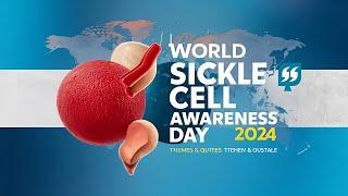 Understanding World Sickle Cell Awareness Day 2024 Theme & Quotes
