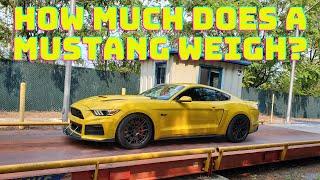 How Heavy Is The S550 Mustang?