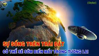 Sự sống trên Trái đất có thể sẽ sớm biến mất trong tương lai Replay  Top thú vị