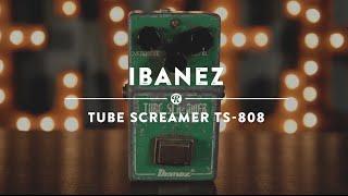 Ibanez TS-808 Tube Screamer  Reverb Demo Video