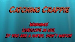 Catching Crappie  Warning Livescope in use.  If you are a hater dont watch