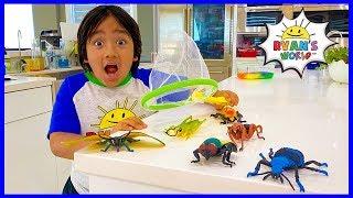 Ryans Bug Catching at home Pretend Play and Learn Insect Facts for kids