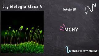 Biologia klasa 5 Lekcja 18 - Mchy