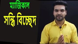 সন্ধির প্রকারভেদ ও বিসর্গ সন্ধি bangla grammar বাংলা গ্রামারSaklain oddri