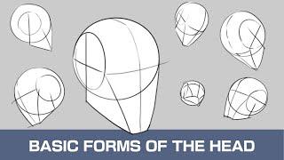Head Drawing Fundamental Forms