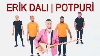 ERTAN ERŞAN - Erik Dalı  POTPURİ Official Video