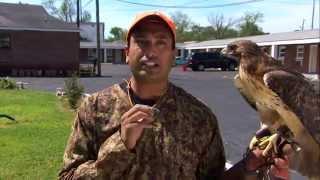 Jatin Patel - An Alabama Falconer