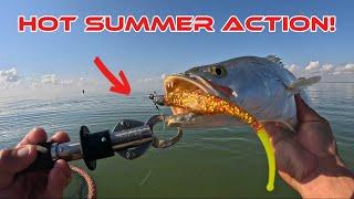 SUMMERTIME MADNESS  Speckled Trout Limits
