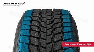 Обзор зимней шины Roadstone Winguard SUV ● Автосеть ●