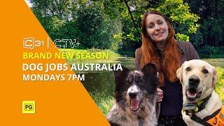 Dog Jobs Australia - Season Two - September 2022 Promo