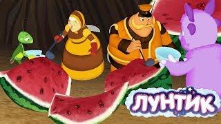 Лунтик  День арбуза  Сборник мультфильмов для детей