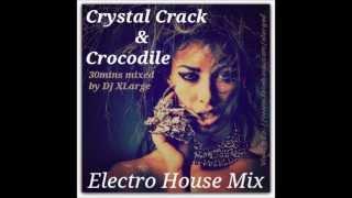 DJ XLarge - Crystal Crack & Crocodile Electro House Mix 30mins