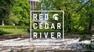 Red Cedar River Ambience 1 Hour Loop