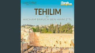 Tehilim 141