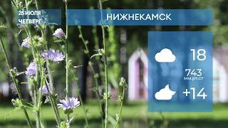 Прогноз погоды в Нижнекамске на 25-е июля 2024 года