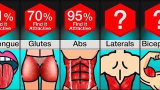 Comparison Most Attractive Muscles