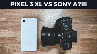 Google Pixel 3 XL vs Sony A7III - Can you guess which camera took what photo?