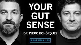 Dr. Diego Bohórquez The Science of Your Gut Sense & the Gut-Brain Axis