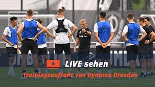 Trainingsauftakt von Dynamo Dresden  Sport im Osten  MDR