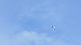 Sunderland Air Show 2017 P51 Mustang display