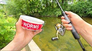 Creek Fishing w WORMS for Anything That Bites