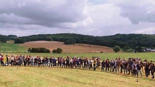 Bruce Springsteen Waitin on a sunny day - Over 200 Belgian musicians play for Bruce Springsteen