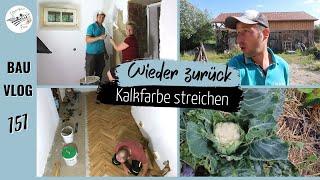 Wäscheraum mit Kalkfarbe streichen  Vinyl komplett verlegt   #151