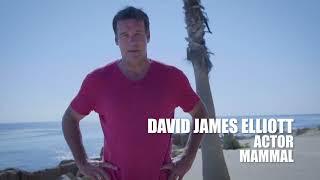 David James Elliott Marine Mammal Care Center Celebrity Ambassador