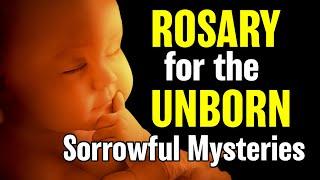 Rosary for the Unborn Child  Sorrowful Mysteries  Rosary for Life