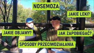 ROZMOWY O PSZCZOŁACH - JAK ROZPOZNAĆ NOSEMOZE - SPOSOBY PRZECIWDZIAŁANIA